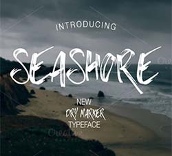 斑驳的英文书法字体：Seashore Font